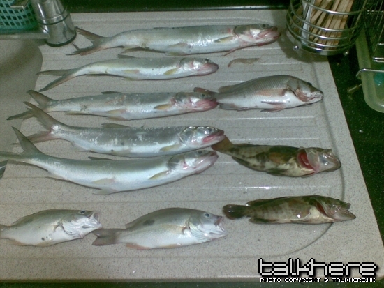 20090830.jpg