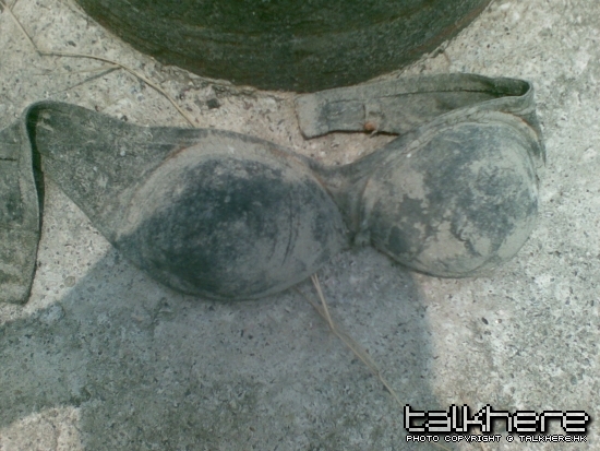 20090829.jpg