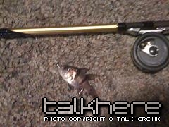 IMG_0277.jpg