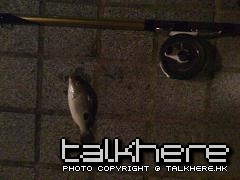 IMG_0276.jpg
