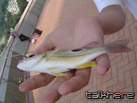 DSC09111.JPG