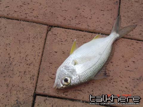 DSC09116.JPG