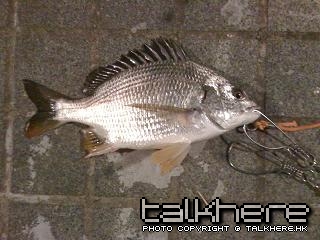 IMG_0299.jpg