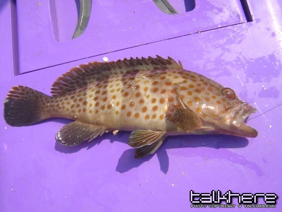 DSCN5978.JPG