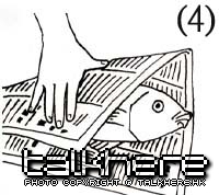 fish_cut_04.jpg