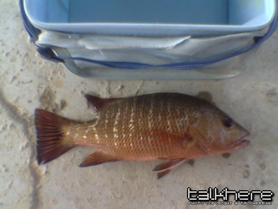 20091004-34cm-02.jpg