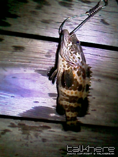 IMAGE_366.jpg