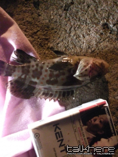 相片0076.jpg