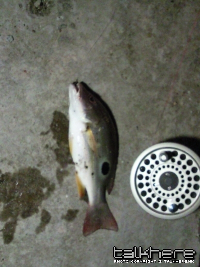 相片0074.jpg