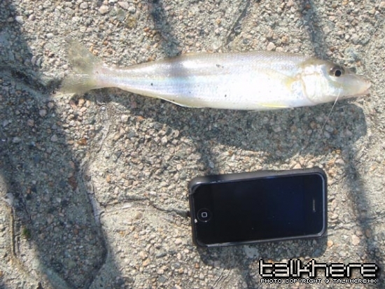 有兩部iPhone長