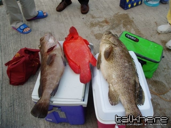 4kg/2.5kg/10kg