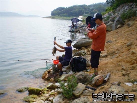 PA250004 copy (Medium).jpg