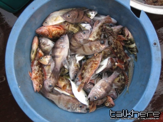 10 月 25 日長洲船釣什魚-1.JPG