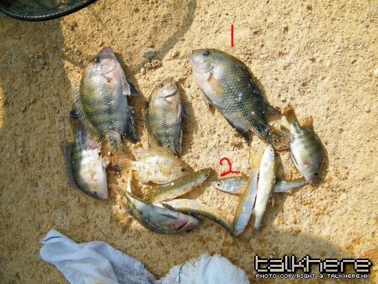 DSCF5949.JPG