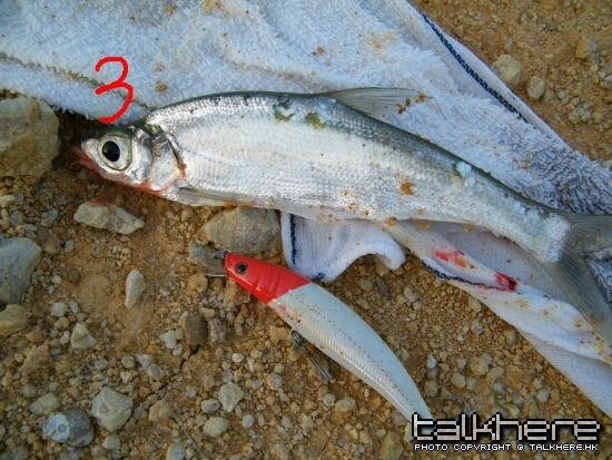 DSCF5979.JPG