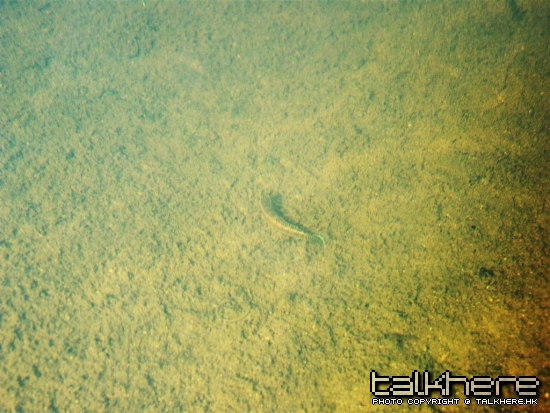 SN205261.JPG