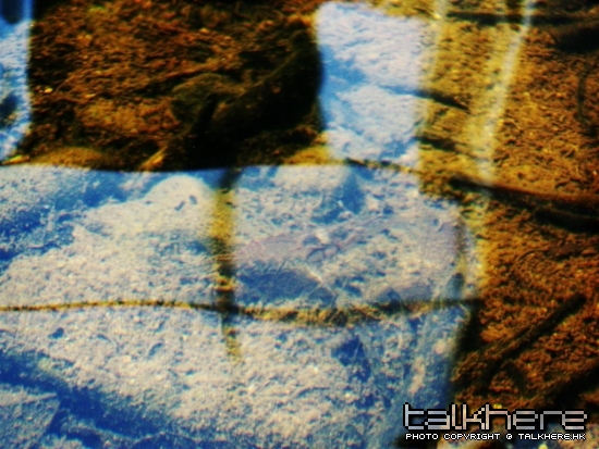 SN205258.JPG