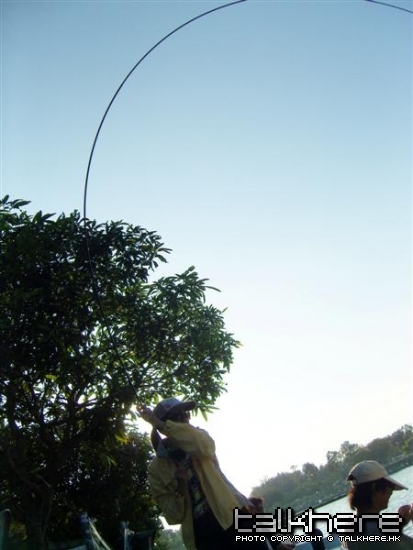 SN205270.JPG