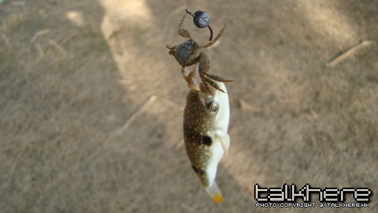 DSC04525.JPG