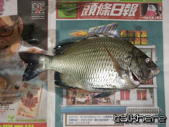 減肥前