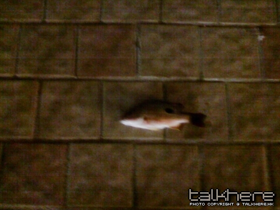 SP_A0019.jpg