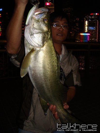 DSC00455.JPG