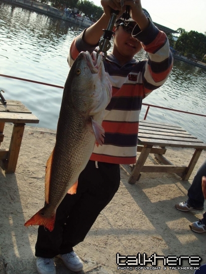 DSC01278.JPG