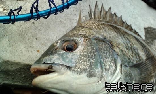IMAG0181.jpg