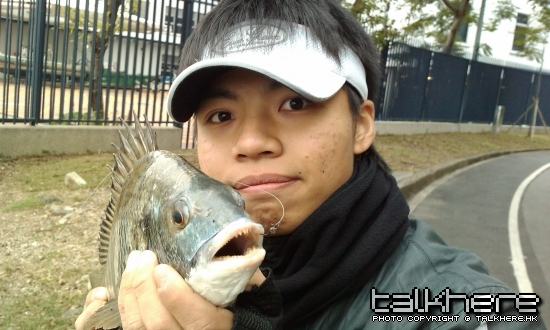 IMAG0183.jpg