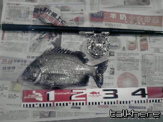 Resize_P101209_23.14_[01].jpg