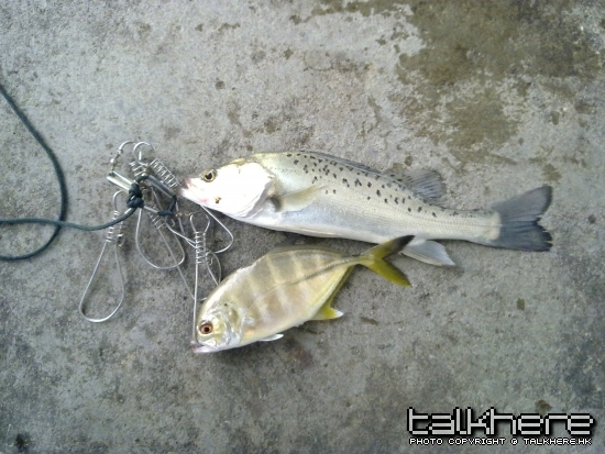照片.jpg
