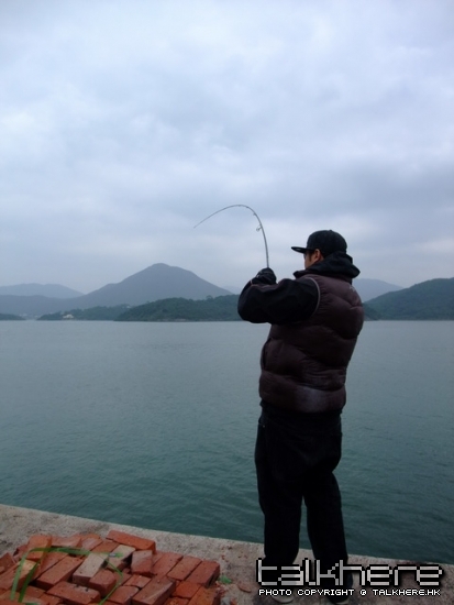 DSCF4527_調整大小.JPG