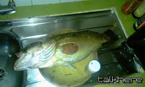 IMAG0011_調整大小.jpg