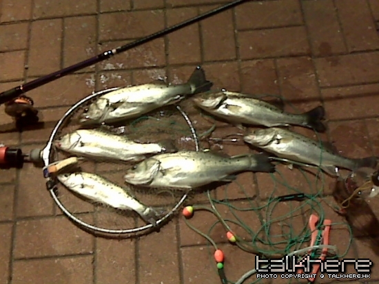 IMG00226.jpg
