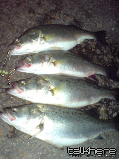 好可惜入晒扣吐血死直