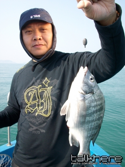 ALIM0096.jpg