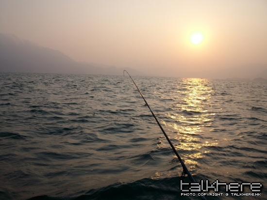 ALIM0102.jpg