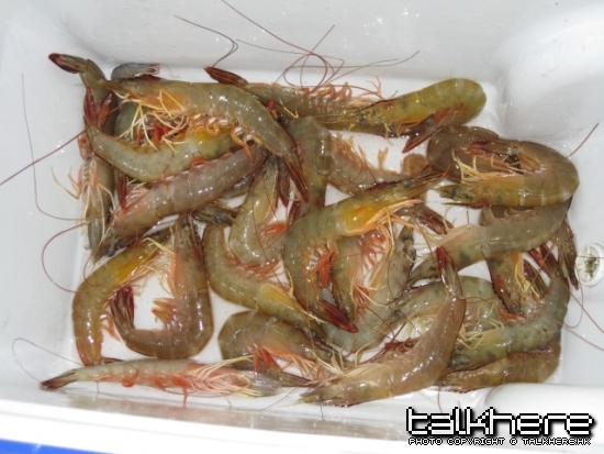 照片 087.jpg