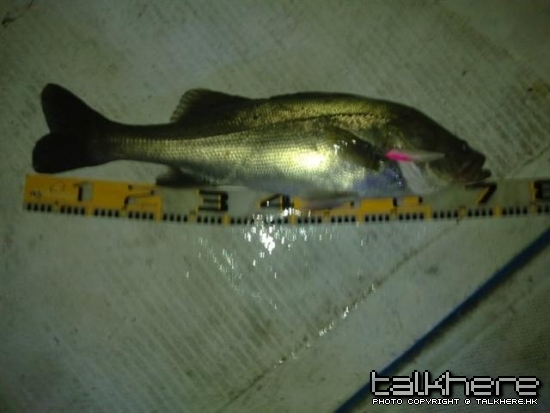 20545_279569772814_714242814_3379035_1158658_n (小型).jpg
