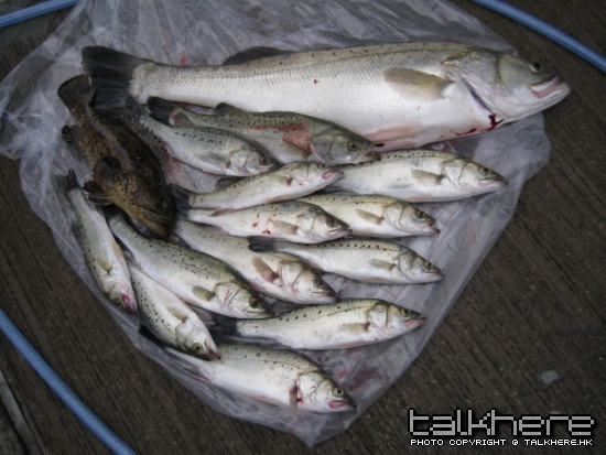 照片 090.jpg