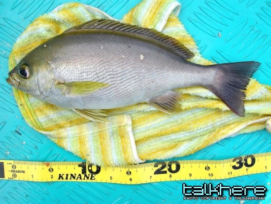 DSCN2113.JPG