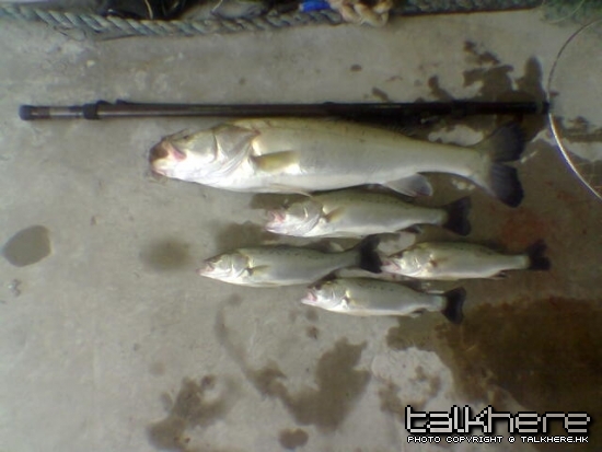 20100206-TC10lb80cm-1.jpg