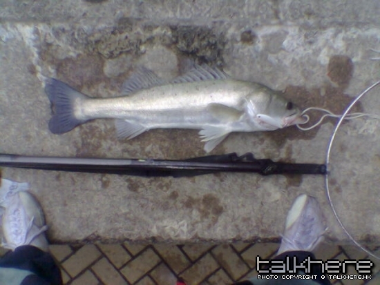 20100215-TC-Lure02.jpg