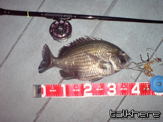 39cm