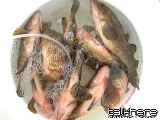 DSCN2190.JPG