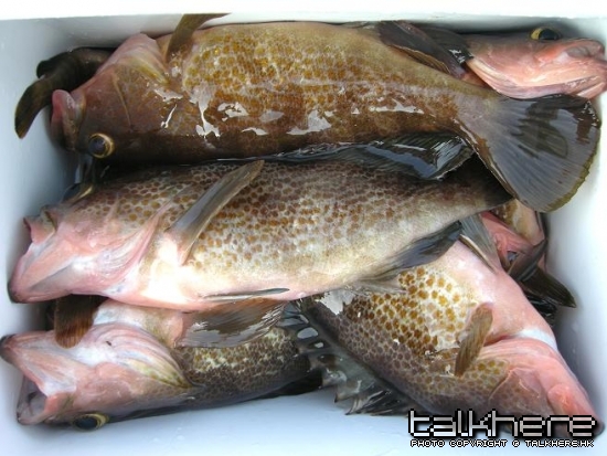 DSCN2207.JPG