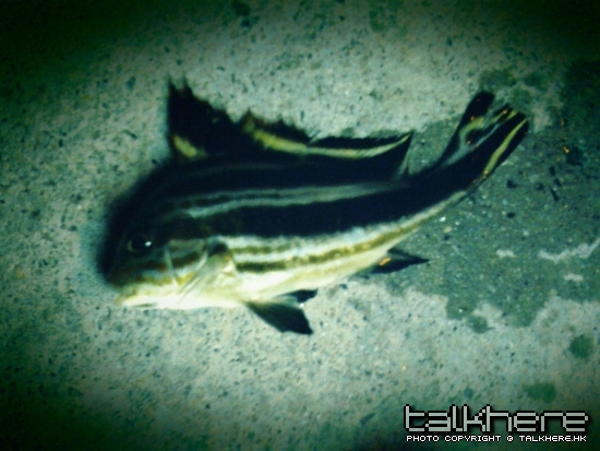 照片 038.jpg