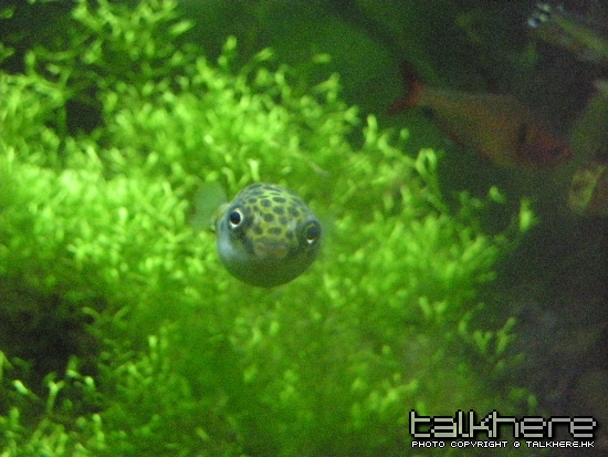 DSCN1806.JPG