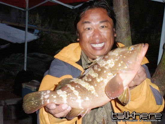 老虎魚蝦蟹都撻黎影張相先