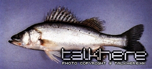 a679-01.jpg